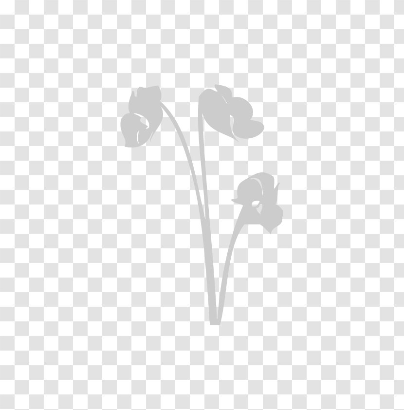 Petal White - Plant - Leaf Transparent PNG
