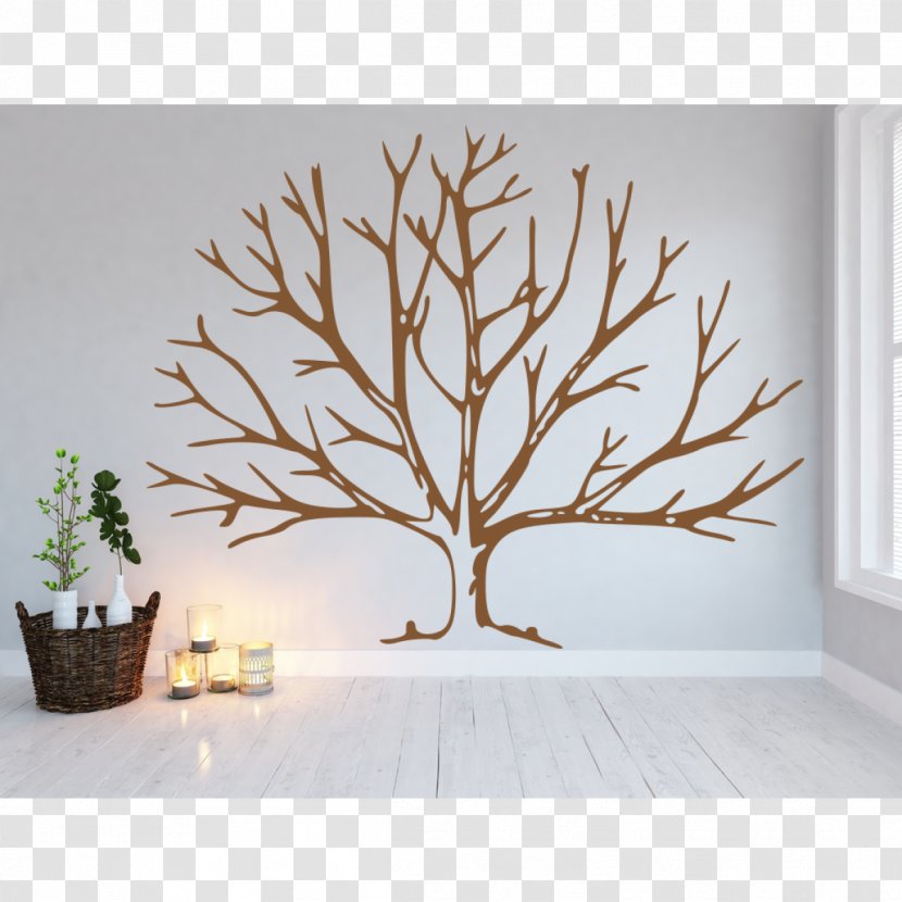 Coloring Book Tree Leaf Drawing Trunk Transparent PNG