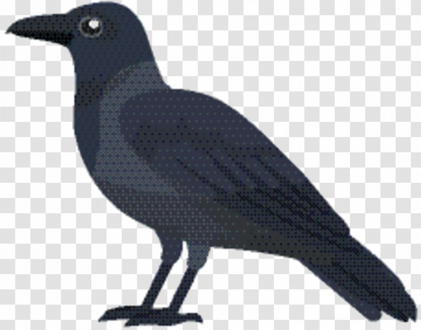Cartoon Bird - Wing - New Caledonian Crow Transparent PNG