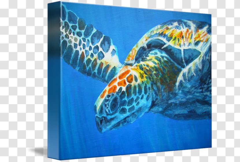 Loggerhead Sea Turtle Art Museum Painting - Interior Design Services Transparent PNG