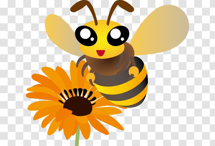 Honey Bee Clip Art Insect Bumblebee - No - Bug Transparent PNG
