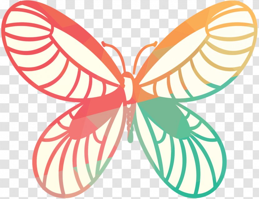 Design Clip Art Monarch Butterfly Illustration - Architecture Transparent PNG