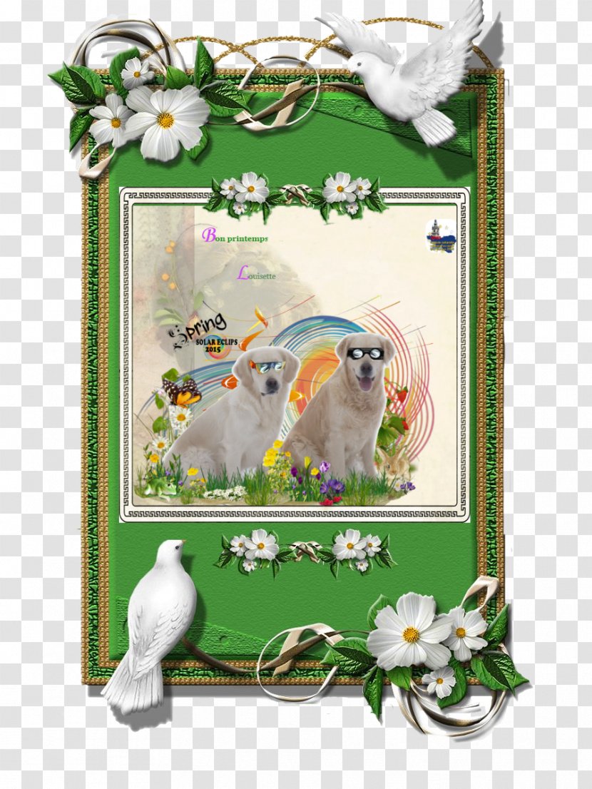 Fauna Green Picture Frames The Arts - Creativity - Spring Equinox Transparent PNG