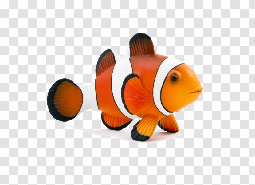 Clydesdale Horse Ocellaris Clownfish Toy - Goldfish Transparent PNG