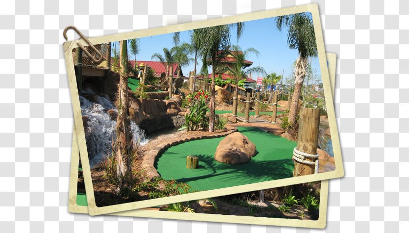 Congo River Golf Tampa Miniature Course - Puttputt Fun Center - Recreation Transparent PNG