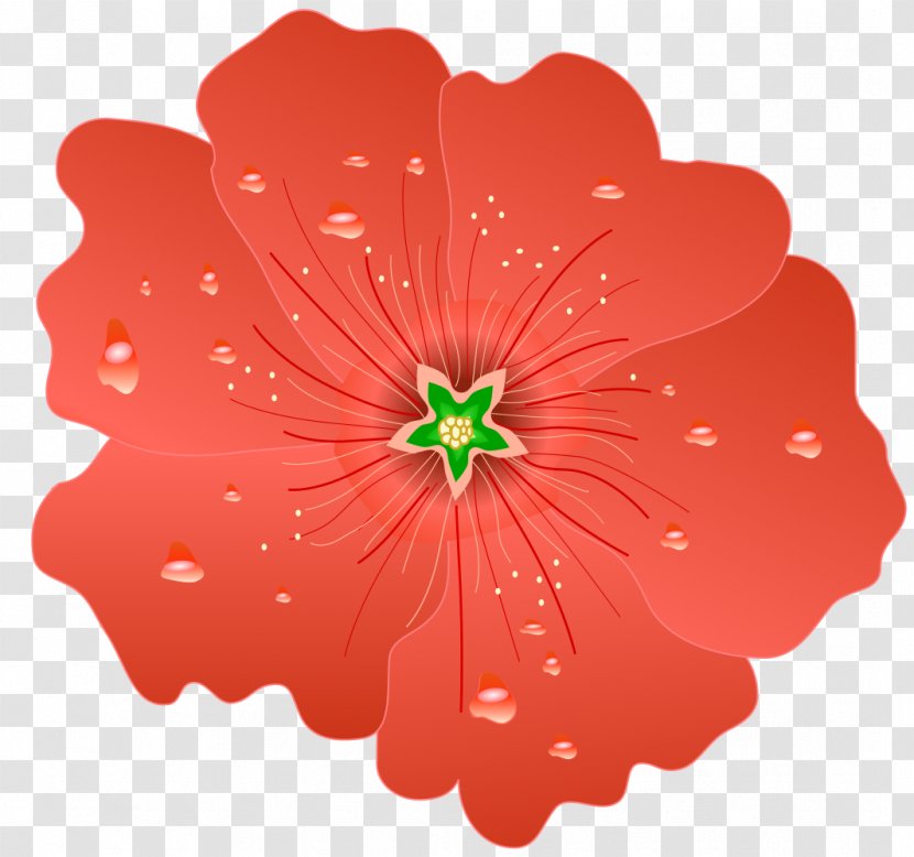 Hollyhocks Hibiscus Plant Clip Art - Wikimedia Commons - Hollyhock Transparent PNG