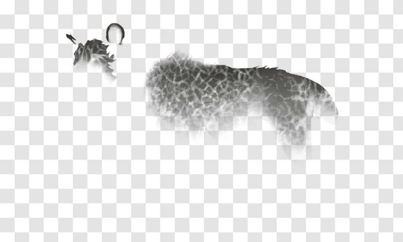 Cat Mammal Carnivora Animal Dog - White - Crackle Transparent PNG