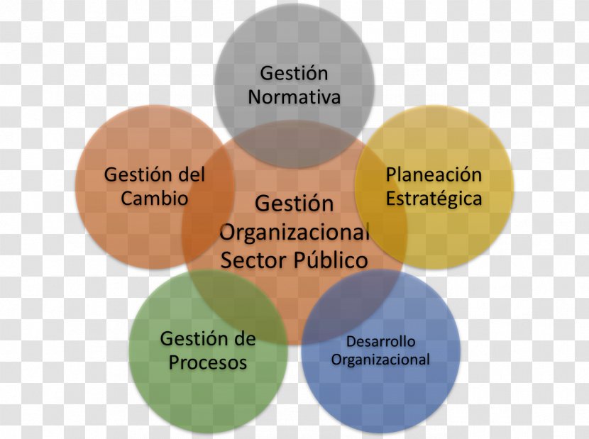 Organization Development Business Administration Public Gestión - Government Sector Transparent PNG