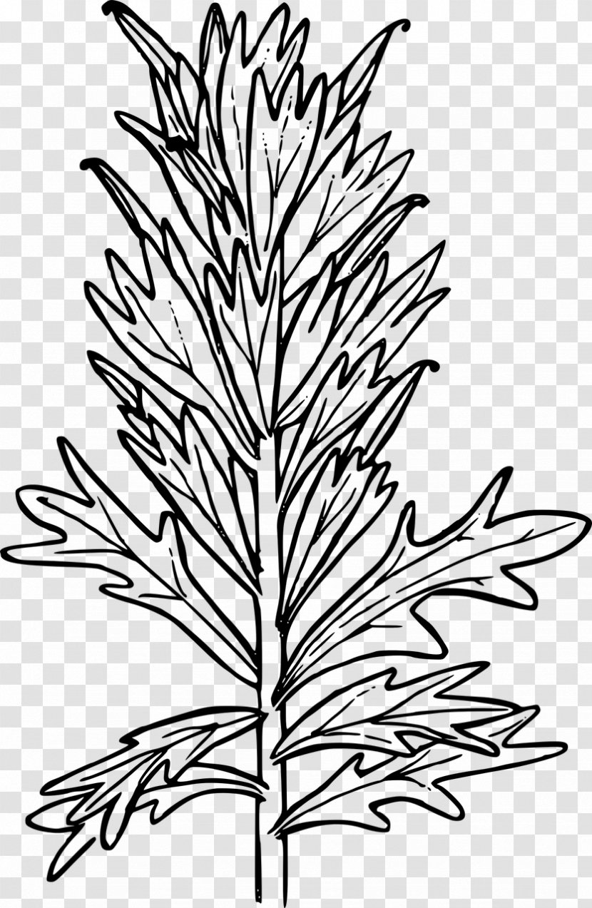 Paintbrush Clip Art - Flora - Paint Transparent PNG