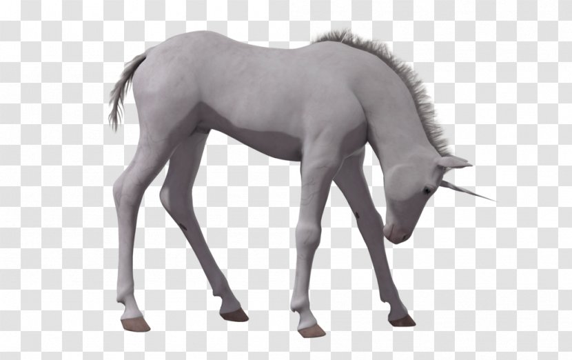 American Paint Horse Mustang Foal Stallion - Unicorn Transparent PNG