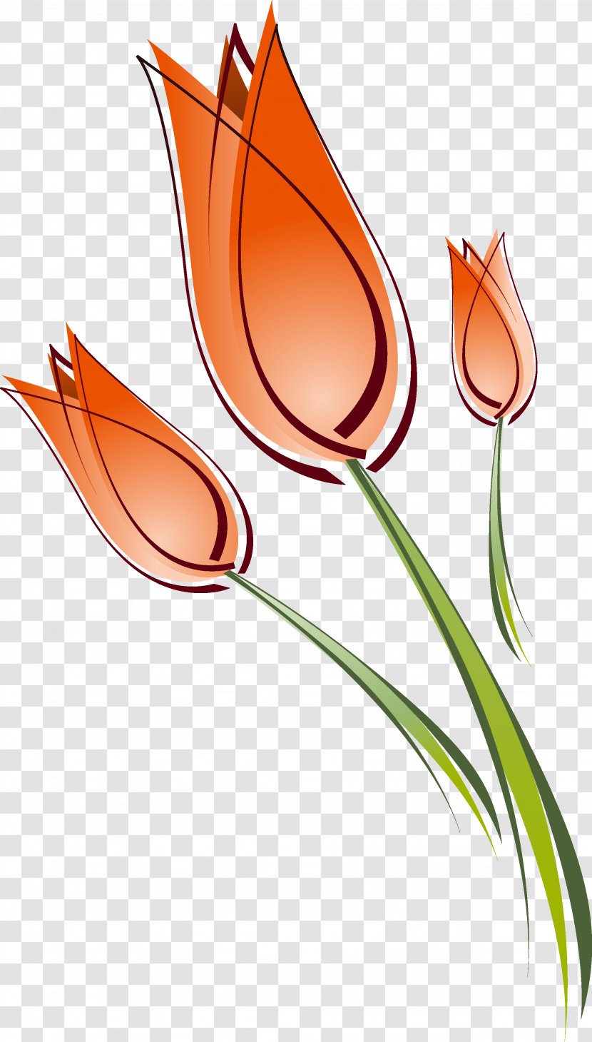Tulip Drawing Clip Art - Flowering Plant Transparent PNG