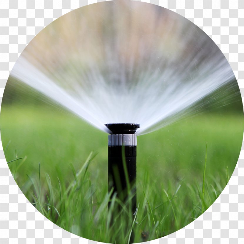 Irrigation Sprinkler Lawn Fire System Watering Cans - Yard Transparent PNG