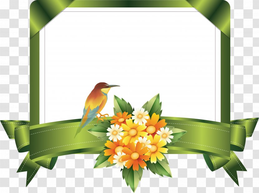 Ribbon - Floral Design Transparent PNG