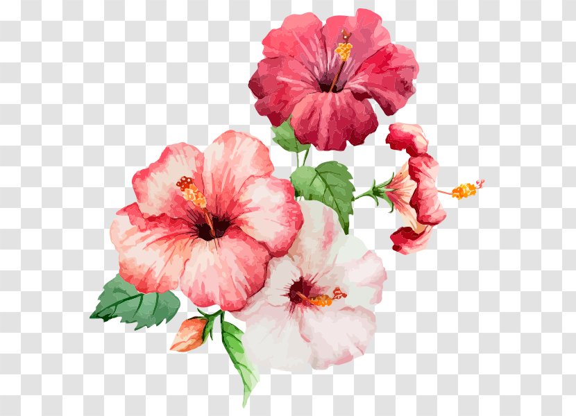 Watercolor: Flowers Watercolor Painting Rosemallows Drawing - Art - Flower Pink Transparent PNG