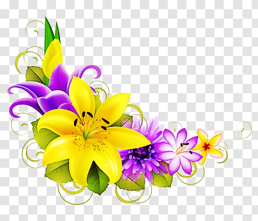 Flower Lily Yellow Cut Flowers Purple - Flowering Plant Petal Transparent PNG