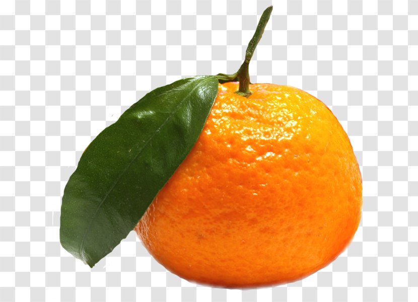 Clementine Fruit Tangerine Food Mandarin Orange - Kinkanas - Grapefruit Transparent PNG