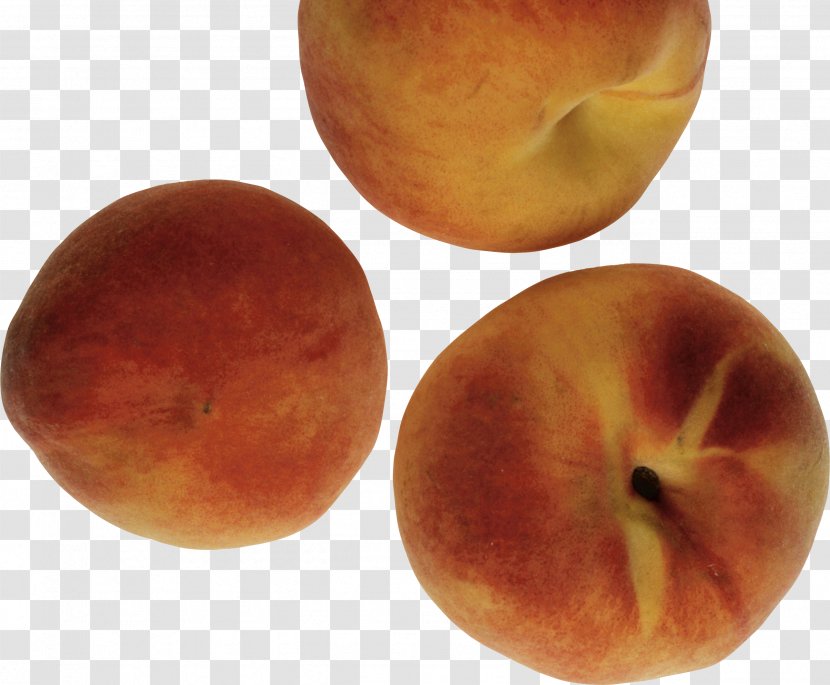 Nectarine Graphics Software - Food - Peach Image Transparent PNG