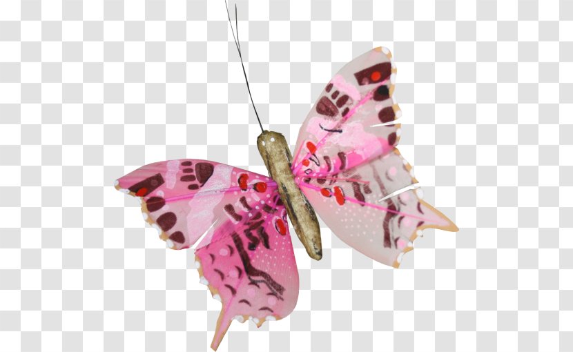Butterfly Papillon Dog Transparent PNG