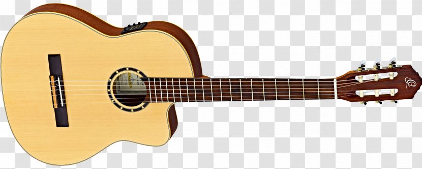 Fender Stratocaster Steel-string Acoustic Guitar Classical Musical Instruments - Flower - Amancio Ortega Transparent PNG