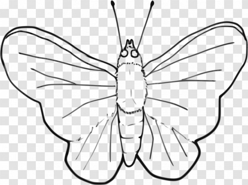 Butterfly Drawing Line Art Clip - Fictional Character Transparent PNG