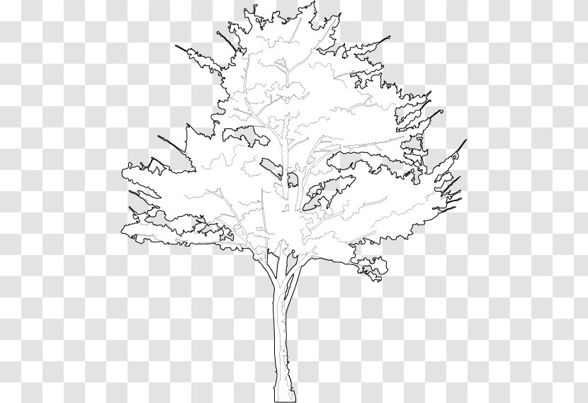 Floral Design /m/02csf Line Art Drawing - Flora Transparent PNG