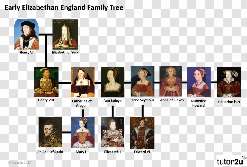Elizabethan Era England The House Of Tudor Wars Roses Family Tree Transparent PNG