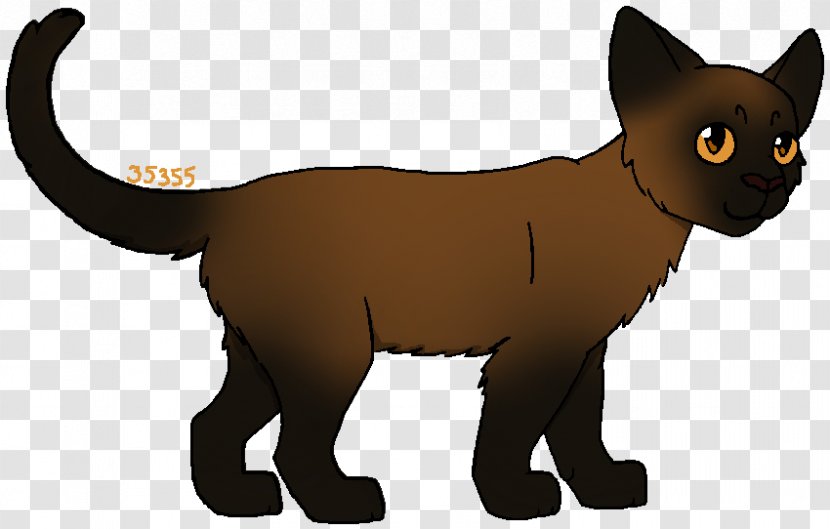 Whiskers Kitten Wildcat Canidae - Character Transparent PNG