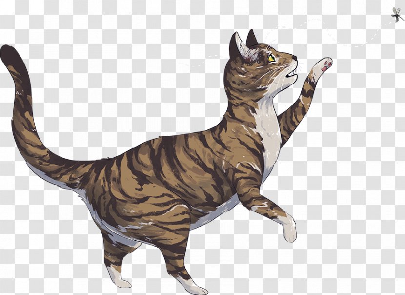 Tabby Cat Tail KitNipBox Quiz - Flea Transparent PNG
