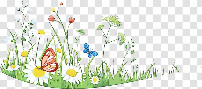 Clip Art Vector Graphics Image - Wildflower - Botany Transparent PNG