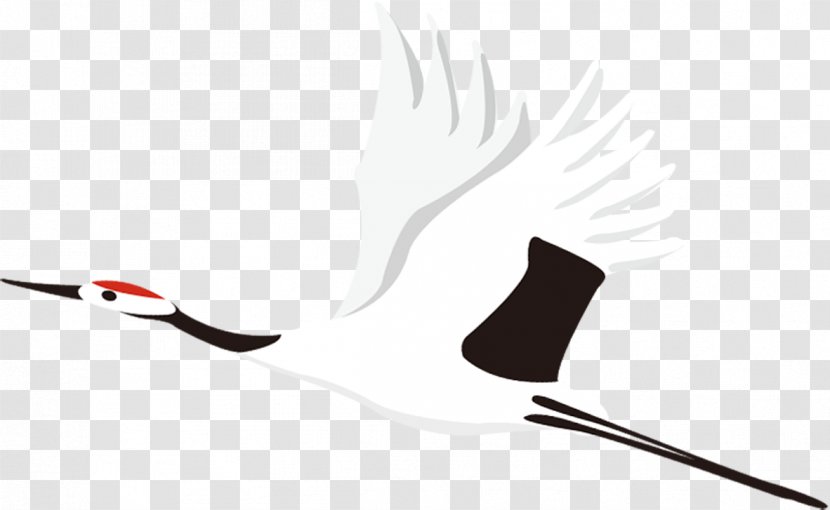 Common Crane Bird Vecteur - Material - White Transparent PNG
