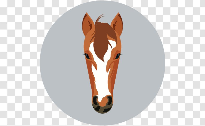 Horse Mane Face - Zebra Transparent PNG