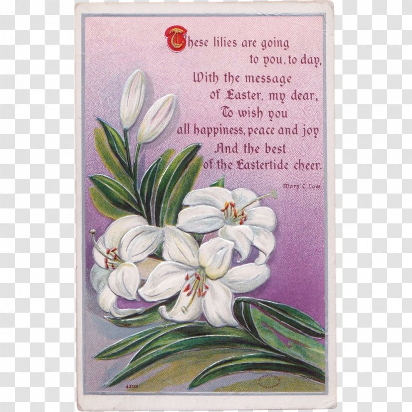 The Lilly Easter Lily Poetry Flower To Read A - Arranging Transparent PNG