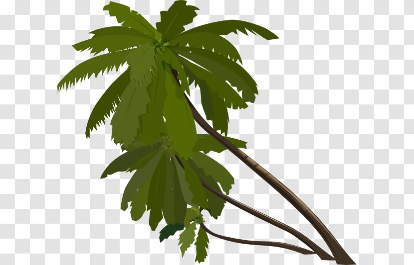 Animation Tree Arecaceae Clip Art - Hemp - Zealous Cliparts Transparent PNG