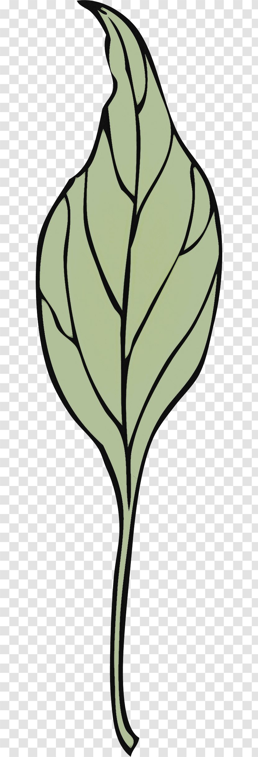 Leaf Plant Tree Flower Stem - Blackandwhite Transparent PNG