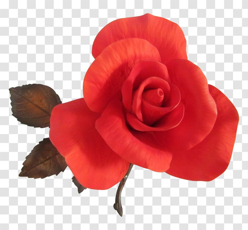 Garden Roses Floribunda Cut Flowers - Rose Transparent PNG