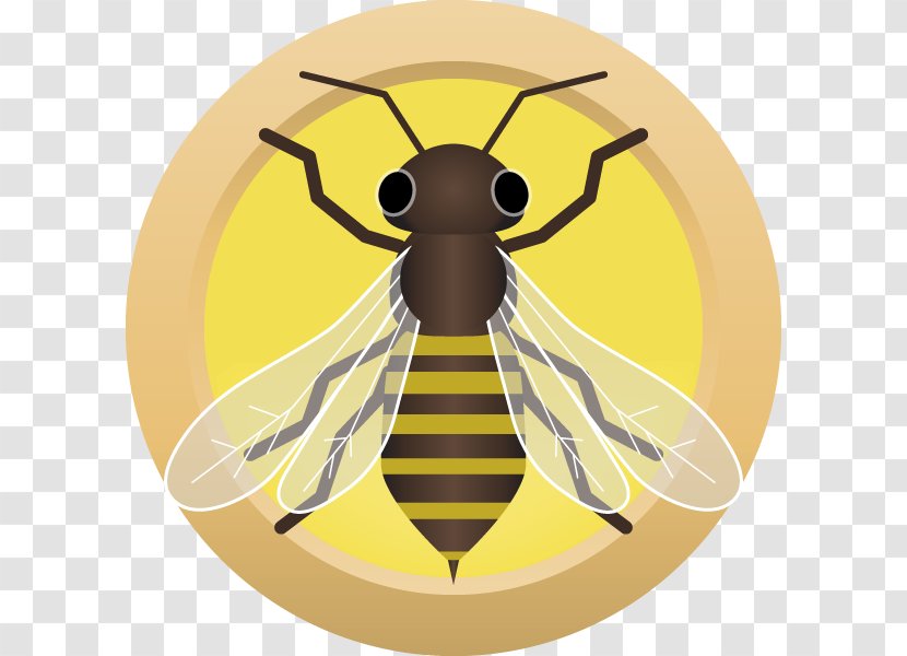 Honey Bee Brown Ale Pale Beer - Extractor Transparent PNG
