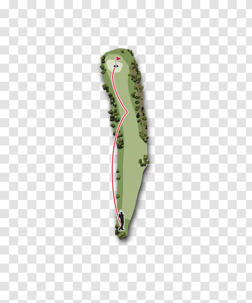 Augusta National Golf Club Masters Tournament Flowering Dogwood - Uphill Slope Transparent PNG