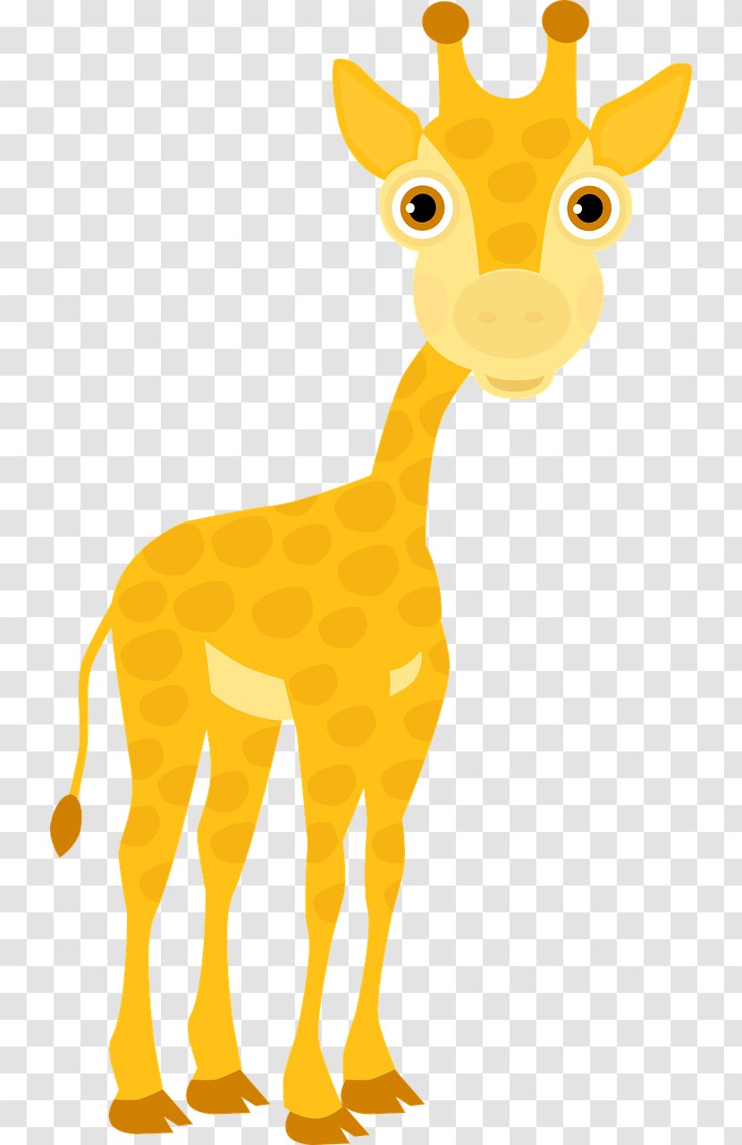 Northern Giraffe Adjective Pixabay - Neck - Cute Transparent PNG