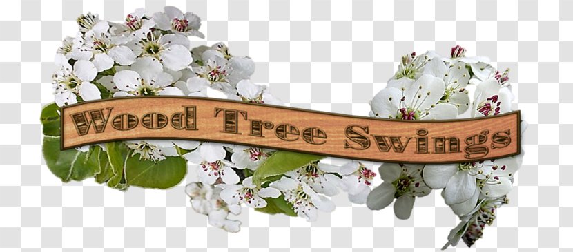 Swing Wood Tree Cupressus Mahogany Transparent PNG