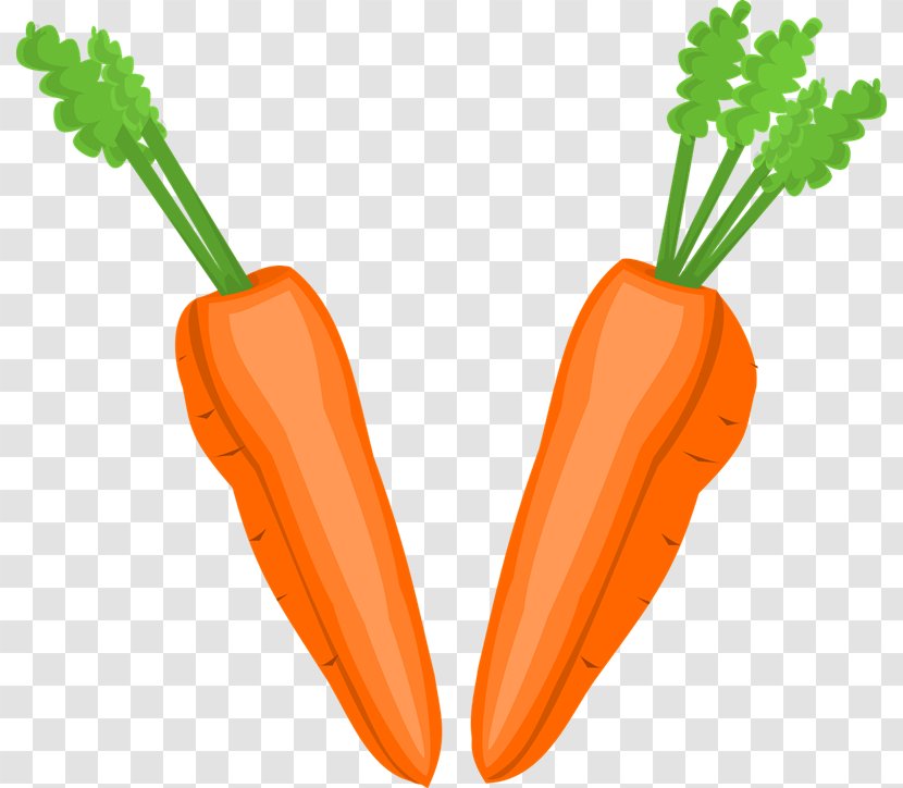Vegetable Fruit Carrot Food Clip Art - Pumpkin Tomato - Root Cliparts Transparent PNG