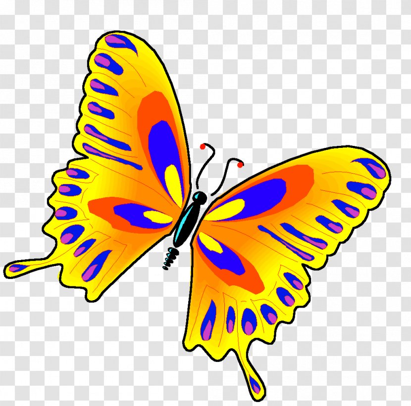 Animation Butterfly Clip Art - Flower Transparent PNG