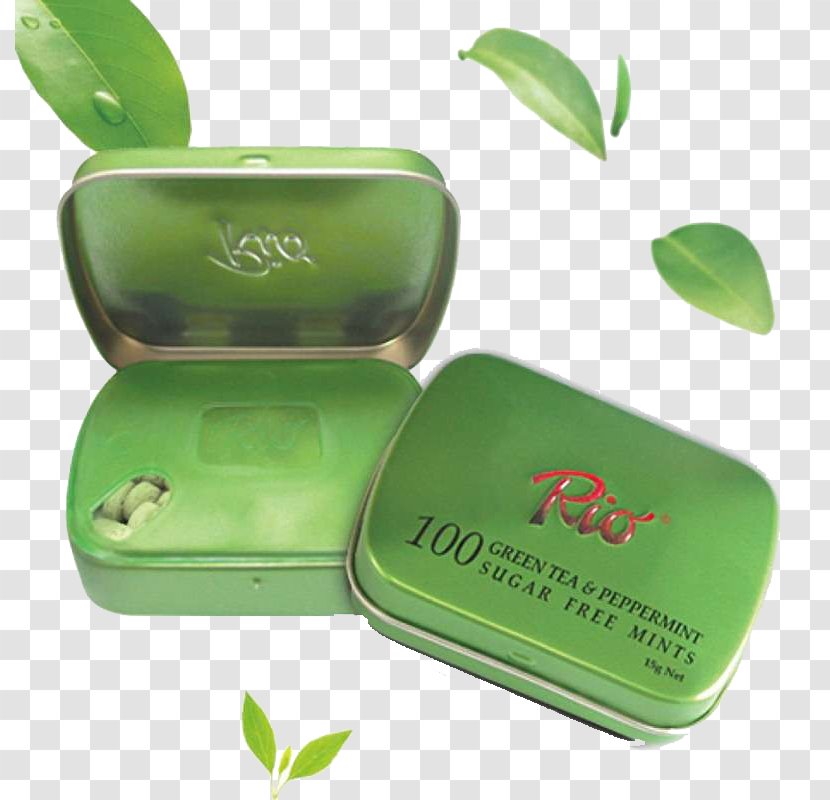 Green Tea Icon - Rectangle - Rui Yi Le Eucalyptus Mints Transparent PNG