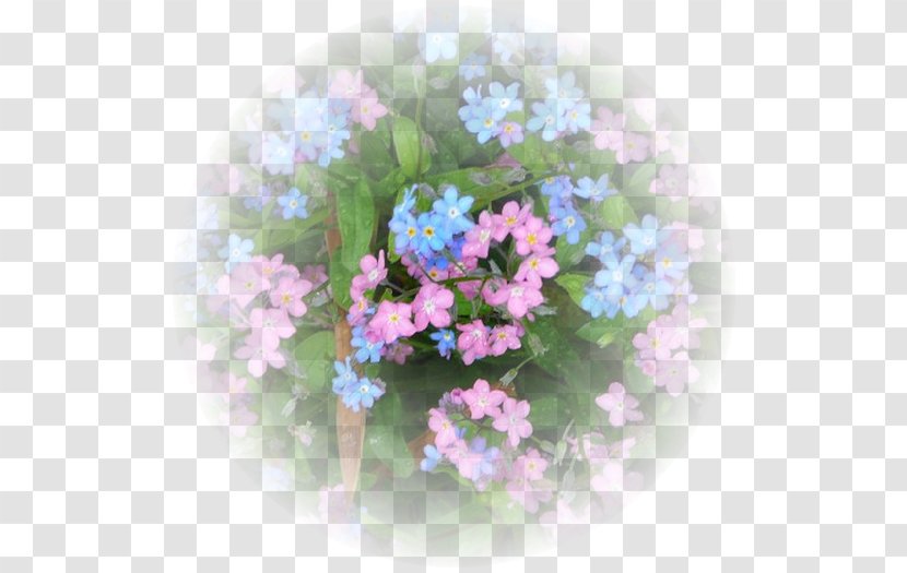 Floral Design Cut Flowers Borages - Artificial Flower Transparent PNG