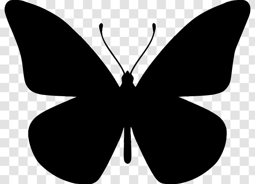 Clip Art Butterfly Illustration Silhouette - Pollinator Transparent PNG