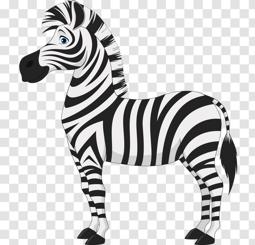 Horse Zebra Clip Art - Tall Transparent PNG