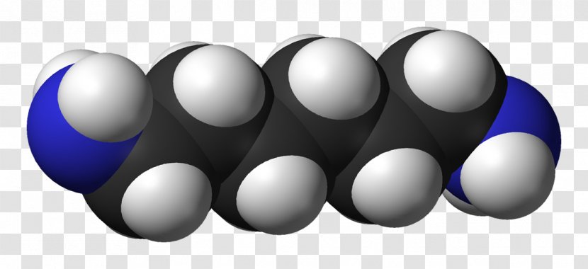 Hexamethylenediamine Organic Compound Hexane - Ballandstick Model - Methylene Group Transparent PNG