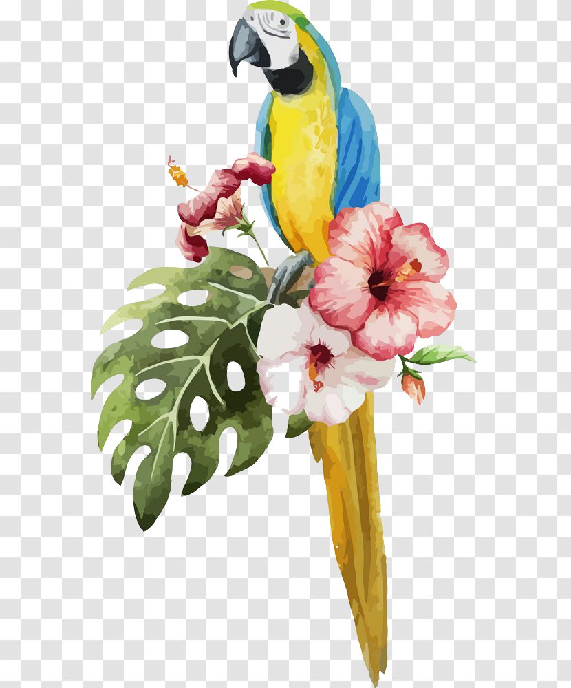 Parrot Bird Watercolor Painting Illustration - Floral Design - Of Flowers Parrots Transparent PNG