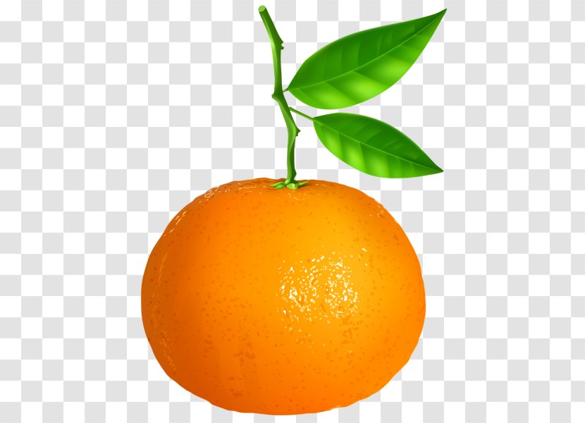 Tangerine Mandarin Orange Vegetarian Cuisine Clip Art - Valencia Transparent PNG