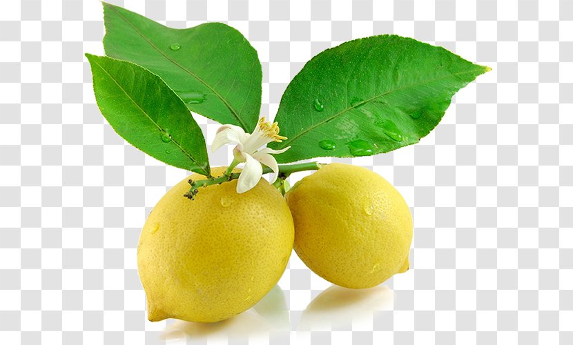 Lemonade Juice Persian Lime Food - Meyer Lemon Transparent PNG