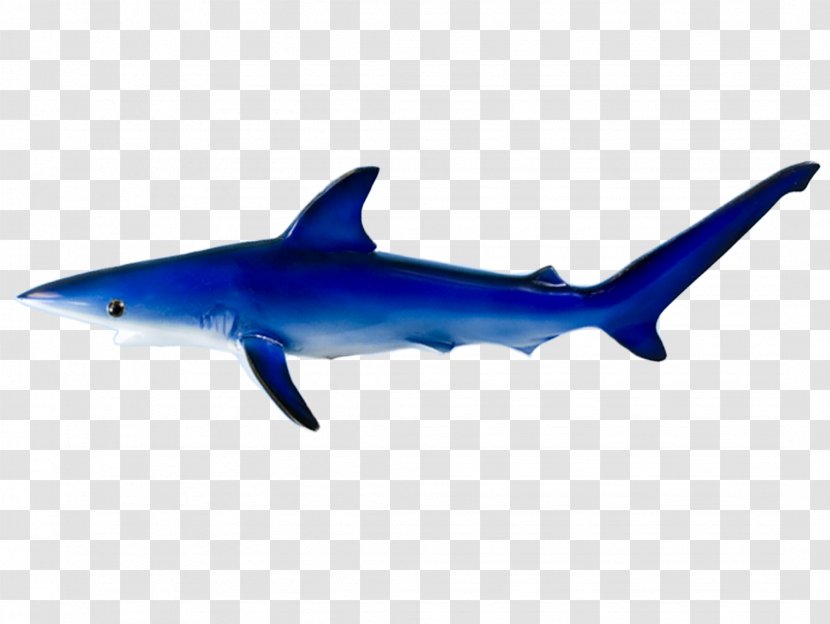 Clip Art Requiem Sharks Image Desktop Wallpaper - Cretoxyrhina - Large Mouth Bass Transparent PNG
